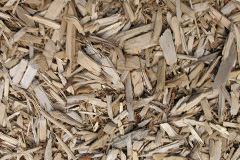 biomass boilers Mickle Trafford